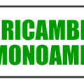 RICAMBIMONO