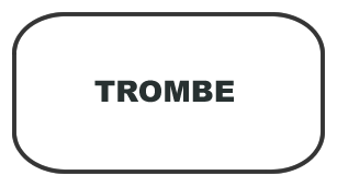 TROMBE.png