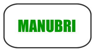 MANUBRI